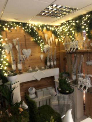 Fleuriste Le Nenuphar (SARL) 0