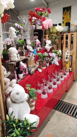 Fleuriste Elea, les Fleurs et Vous. Par Jouve Yéla 0