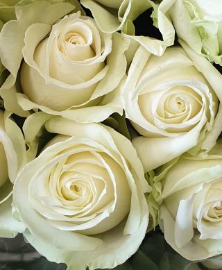 Fleuriste Elea, les Fleurs et Vous. Par Jouve Yéla 0