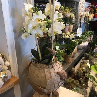 Fleuriste Groover & Cie, Artisan Fleuriste 1