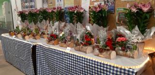 Fleuriste Thorigny fleurs 0