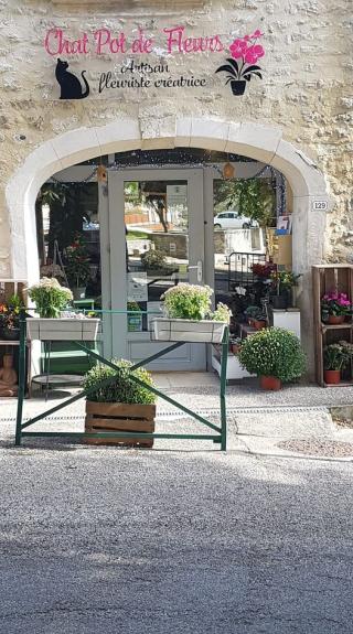 Fleuriste Chat Pot de Fleurs, Artisan Fleuriste Taulignan - Valréas 0