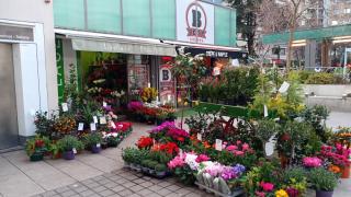 Fleuriste Laplace Fleurs 0