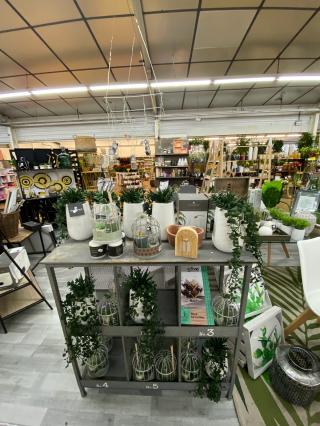 Fleuriste Jardineries d’ici Chelles 0