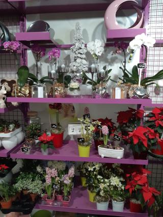 Fleuriste MON FLEURISTE 0