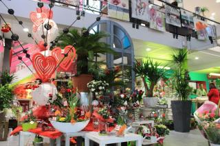 Fleuriste Planet' Fleurs 1