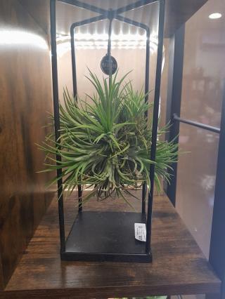 Fleuriste Floral Express 0