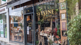 Fleuriste SYLVINE FLEURS 0