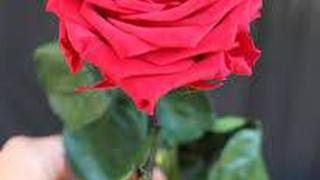 Fleuriste De fleurs en fleurs 1