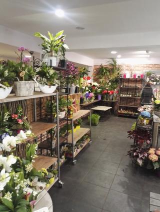 Fleuriste AU LYS D OR 0