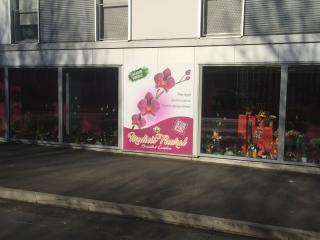 Fleuriste Roses et Sens Medicis 0