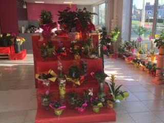 Fleuriste Roses et Sens Medicis 0