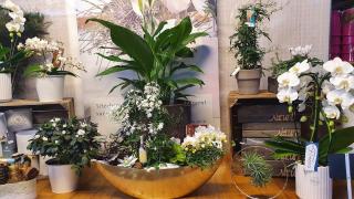 Fleuriste La Nature en fleurs 0