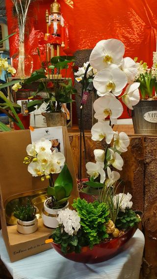 Fleuriste La Nature en fleurs 0