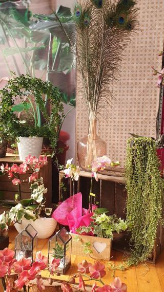 Fleuriste La Nature en fleurs 0