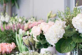 Fleuriste Couleur Pivoine 0