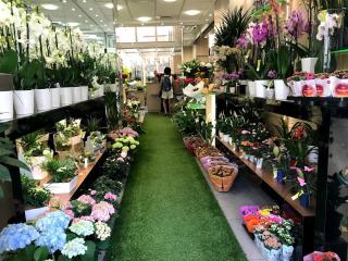 Fleuriste F COMME FLEURS 0