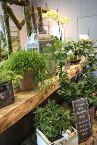 Fleuriste Lunaria Fleuriste 0