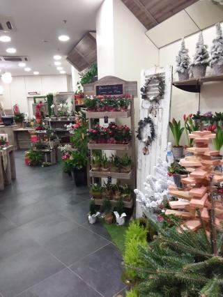 Fleuriste Comme Une Fleur 0