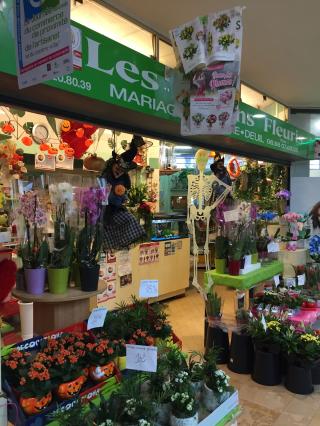 Fleuriste Les jardins fleuris 0
