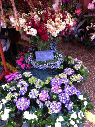 Fleuriste L'Amour en Cage 2