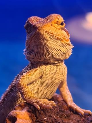 Fleuriste E.Leclerc Jardi 0