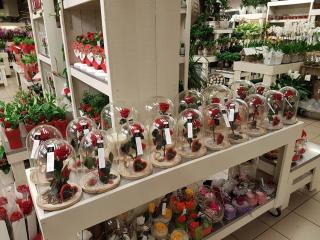 Fleuriste Orange et Vert 0