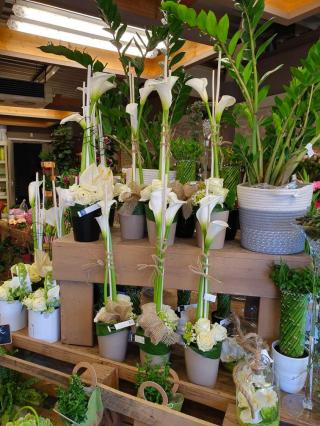 Fleuriste Orange et Vert 2