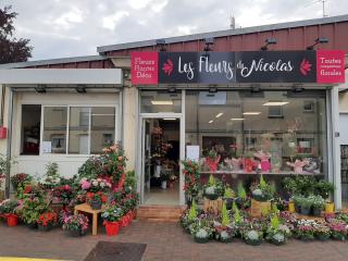 Fleuriste Les Fleurs de Nicolas 0