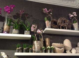 Fleuriste Au Jardin de Léa 0