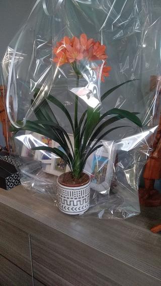 Fleuriste MERLINO FLEURS 0