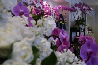 Fleuriste Oreve SAS 0