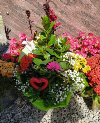 Fleuriste Fleurs Claudine 0