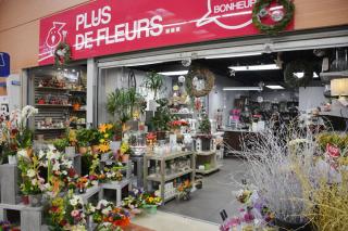 Fleuriste Plus de Fleurs - Chatte St Marcellin 0