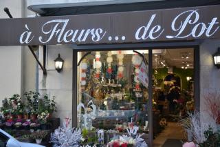Fleuriste A Fleurs de Pot 0