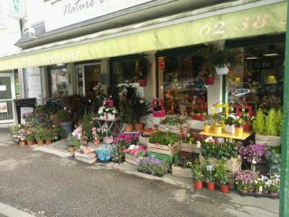 Fleuriste Nature et Tentations 0