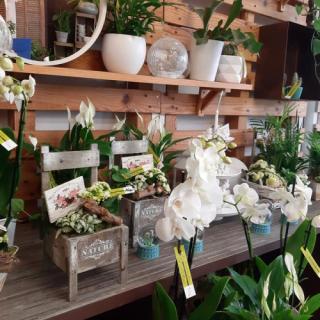 Fleuriste Il Etait Une Fleur... Artisan Fleuriste 0