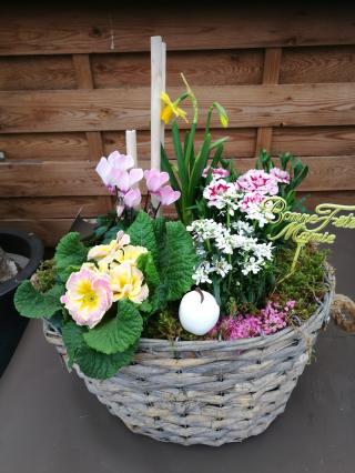 Fleuriste Les serres de Steenwerck 0