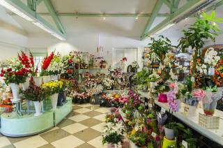 Fleuriste DOMI-FLEURS 0