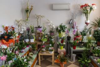 Fleuriste DOMI-FLEURS 0