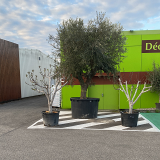 Fleuriste Aqua Loisirs Naturaland 0