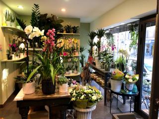 Fleuriste Un dimanche à la campagne 1