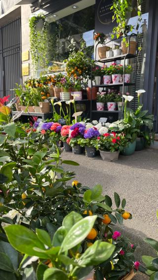 Fleuriste Un dimanche à la campagne 2