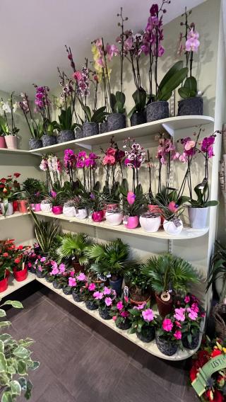 Fleuriste Un dimanche à la campagne 0