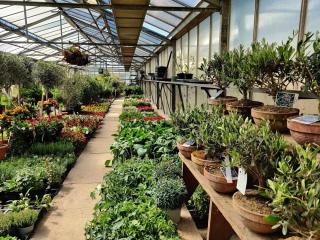 Fleuriste Leos Jardinerie 0