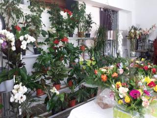 Fleuriste Monica Fleurs 0