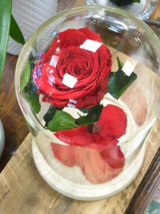 Fleuriste Fleurs d'Eau 0