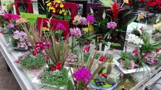 Fleuriste Gaec de l'Edelweiss 0