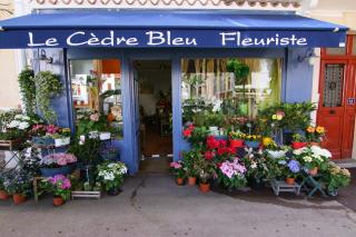 Fleuriste Le Cèdre Bleu 0