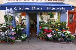 Fleuriste Le Cédre Bleu 0